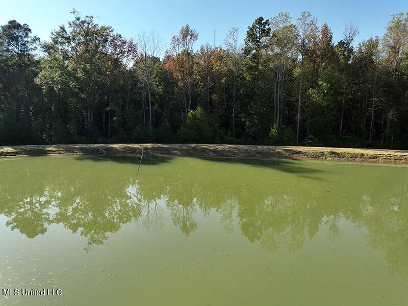 199 Alliston Farm Road Florence, MS 39073 - Photo 14 of 24 DJI_0688