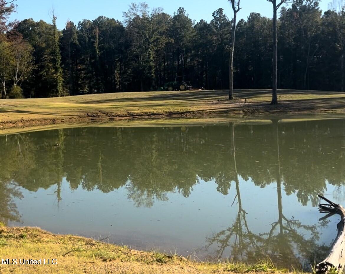 199 Alliston Farm Road Florence, MS 39073 - Photo 15 of 24 IMG_9790