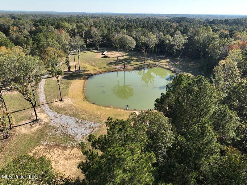 199 Alliston Farm Road Florence, MS 39073 - Photo 8 of 24 DJI_0695