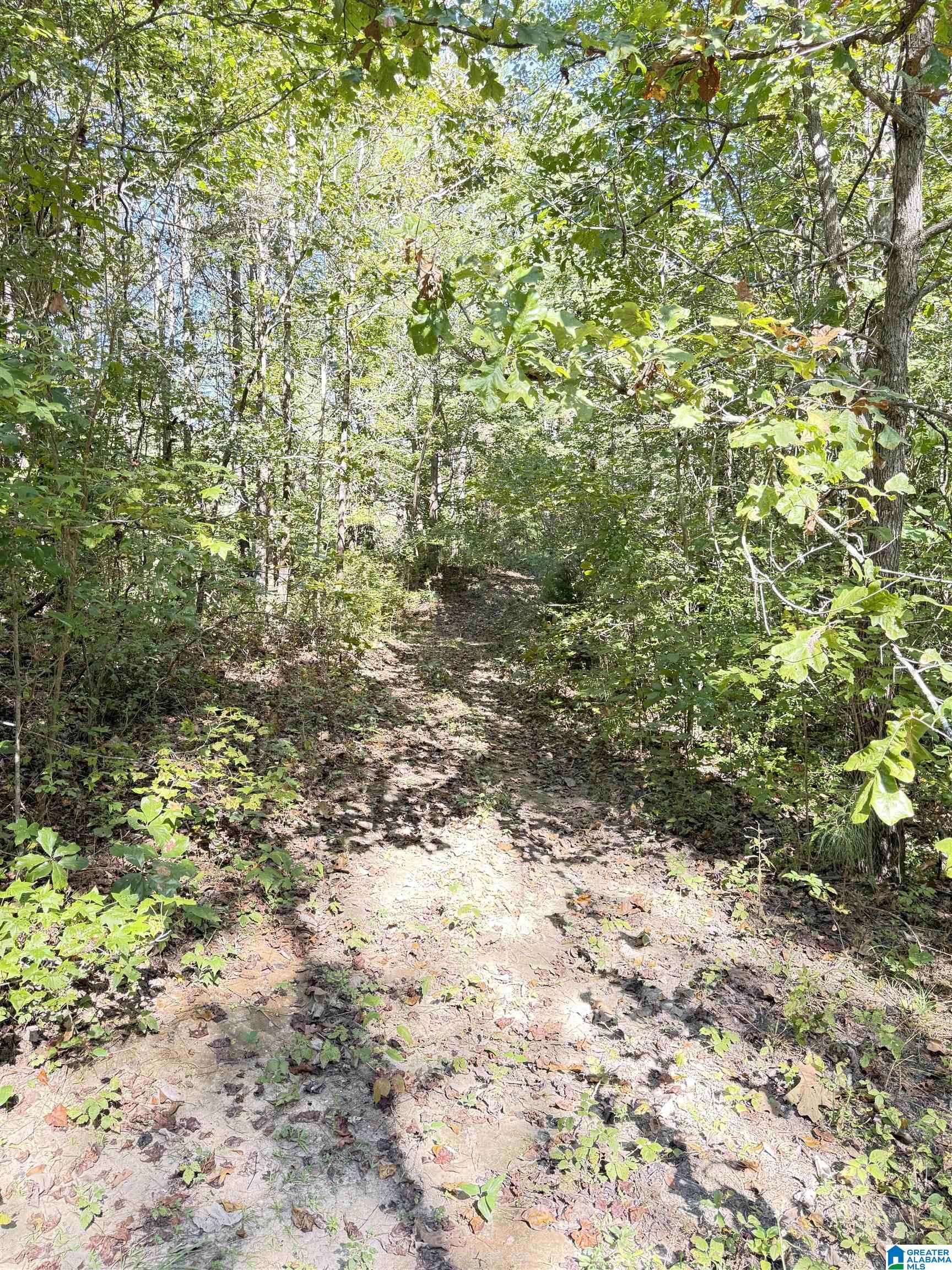 2361 New County Line Road Sylacauga, AL 35151 - Photo 28 of 35