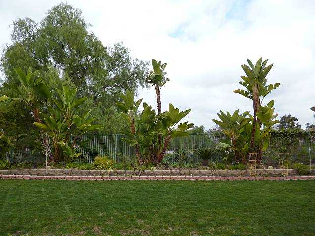 2110 Sun Valley Road San Marcos, CA 92078 - Photo 17 of 18