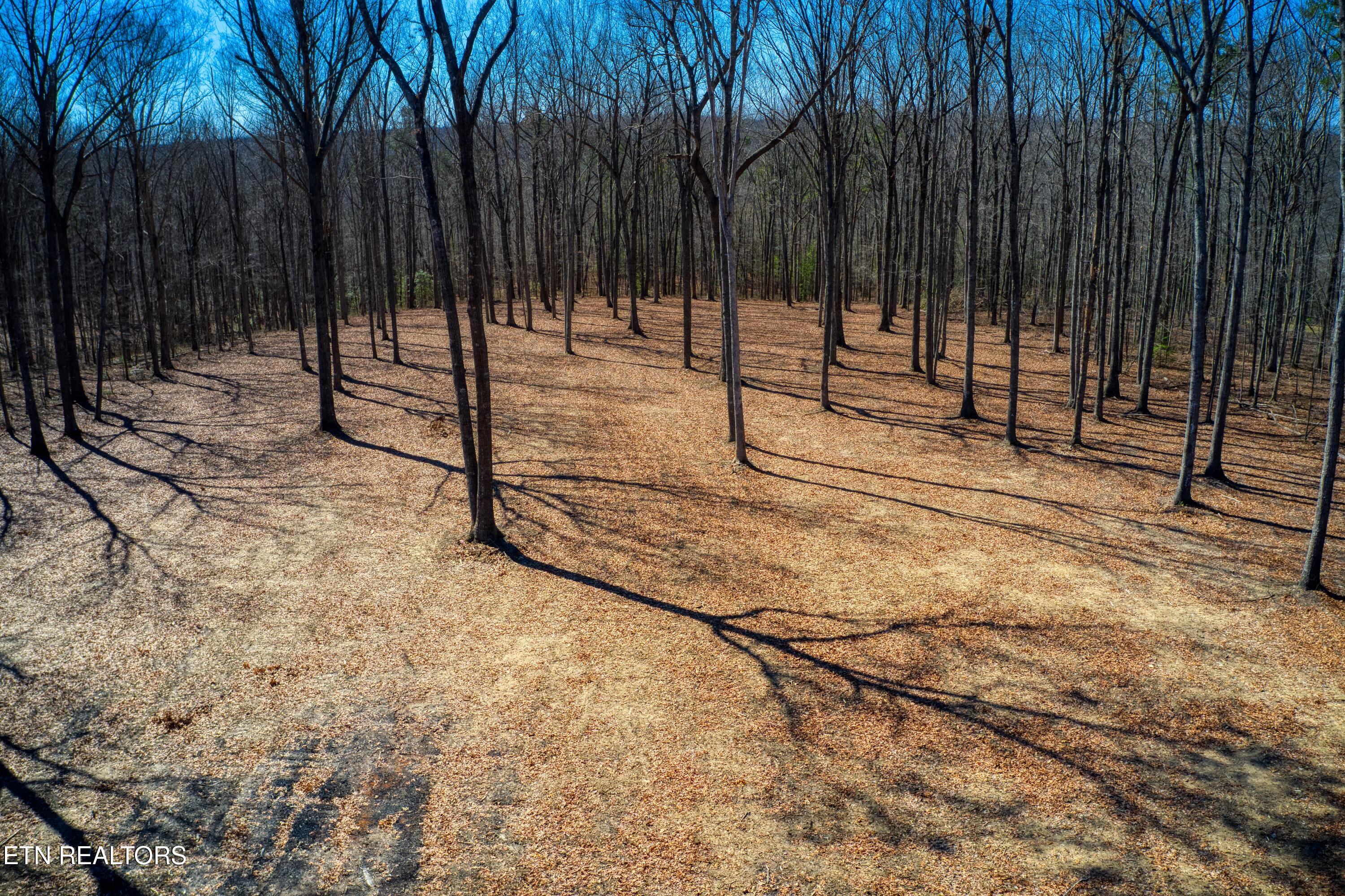 1230 Darrow Ridge Road Jamestown, TN 38556 - Photo 12 of 15 DJI_0408