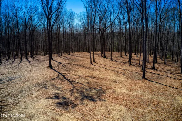 $619,000 | 1230 Darrow Ridge Road, Jamestown, TN 38556
