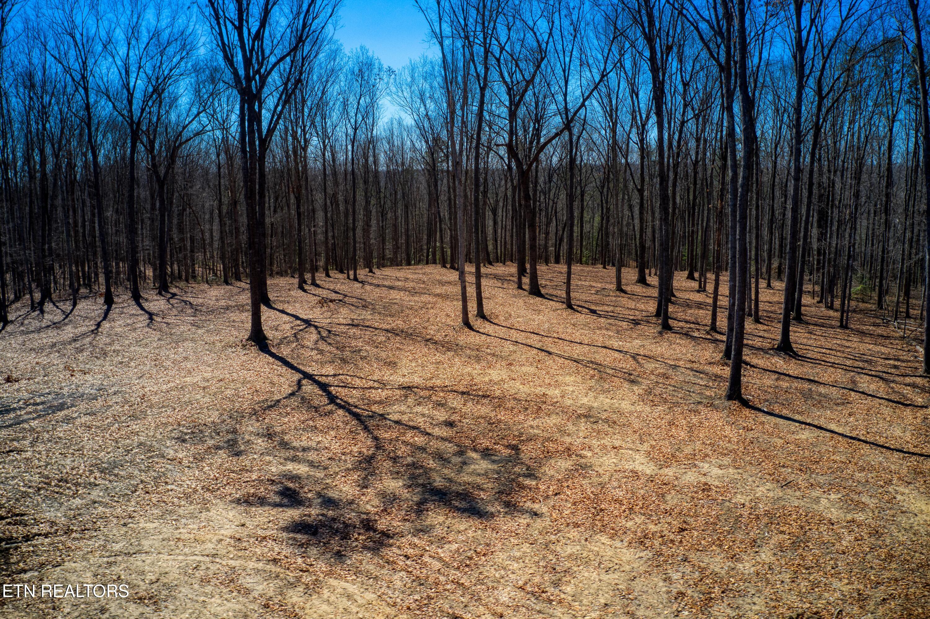 1230 Darrow Ridge Road Jamestown, TN 38556 - Photo 15 of 15 DJI_0423
