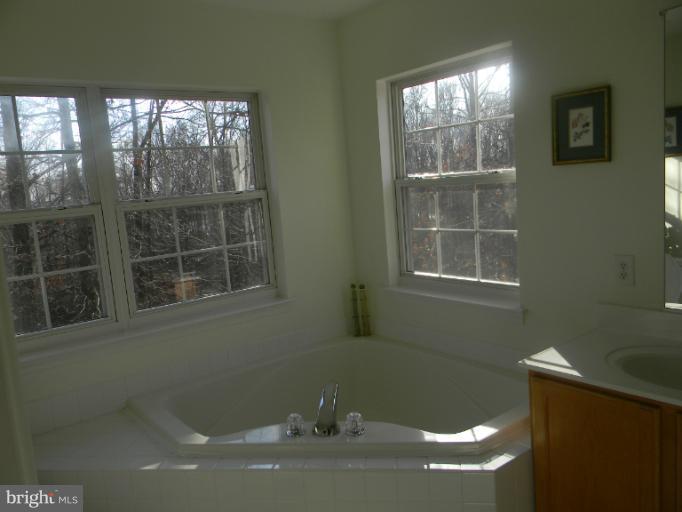623 Trout Run Court Odenton, MD 21113 - Photo 13 of 30 Soaking tub