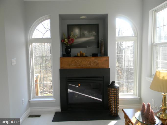 623 Trout Run Court Odenton, MD 21113 - Photo 16 of 30 Gas fireplace and palladium windows in living rm
