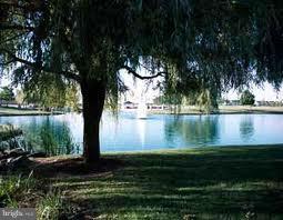 623 Trout Run Court Odenton, MD 21113 - Photo 30 of 30 Community pond