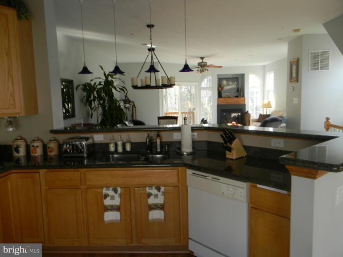 623 Trout Run Court Odenton, MD 21113 - Photo 9 of 30 Granite counter tops & special lighting