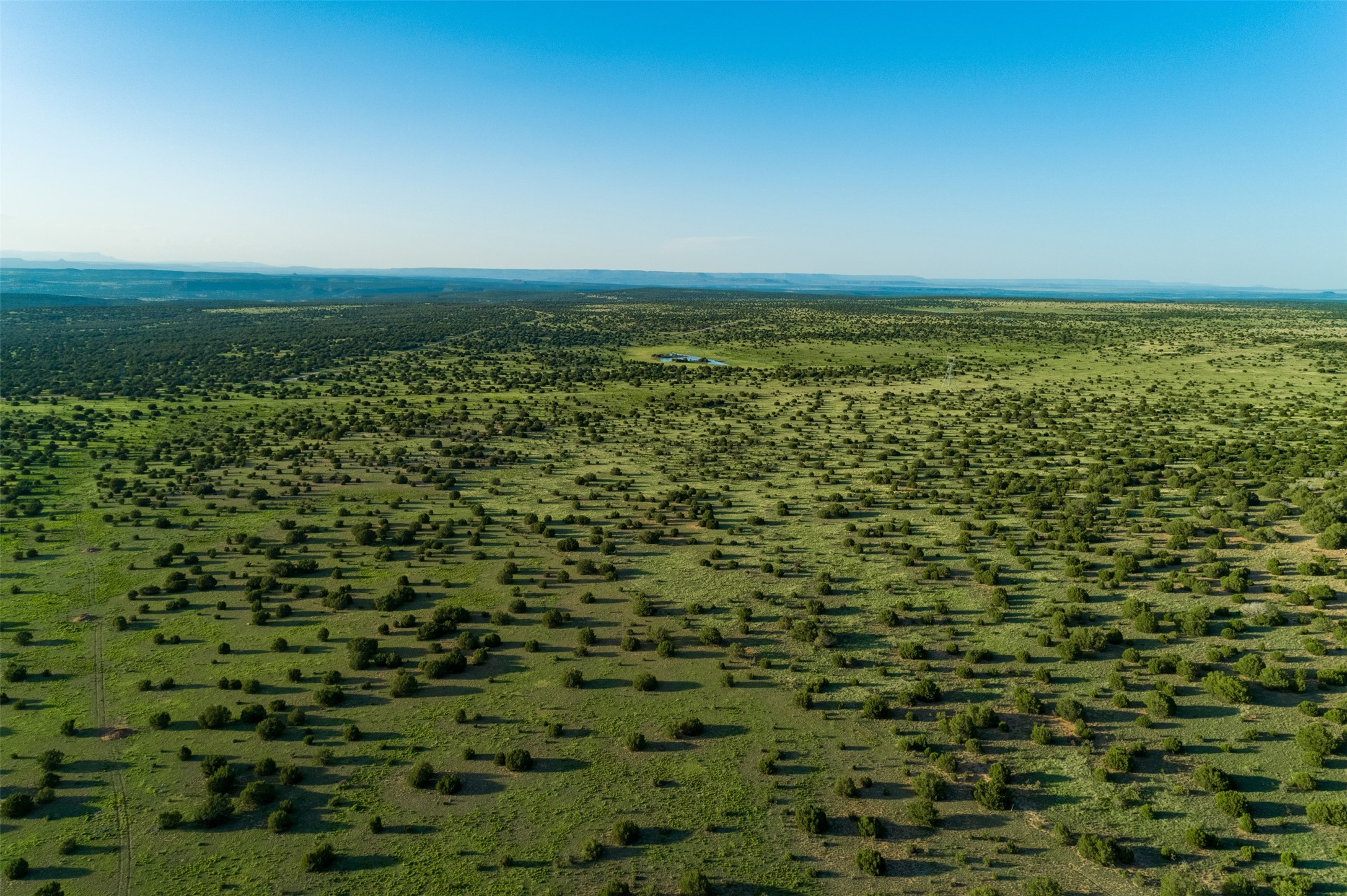 4221 Palo Amarillo Road Santa Rosa, NM 88435 - Photo 69 of 78