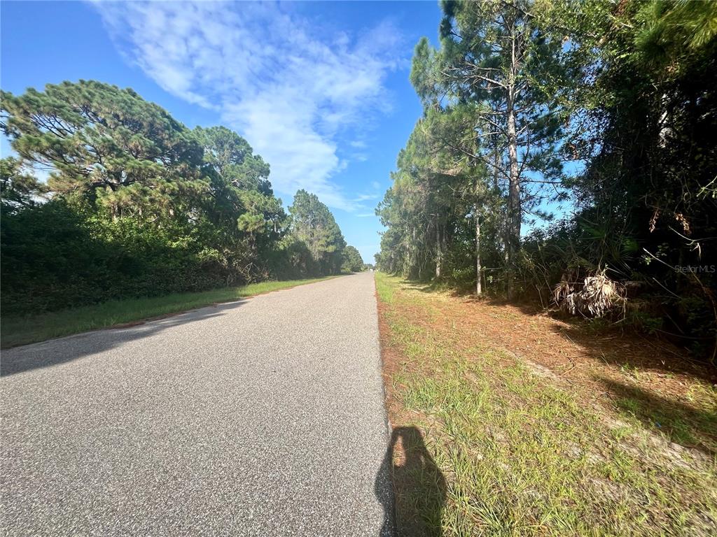 12415 Deepwoods Avenue Port Charlotte, FL 33981 - Photo 2 of 3 a view of a yard