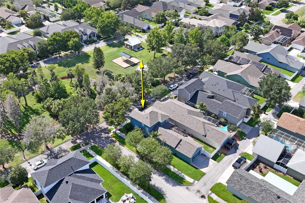 3546 Ferrell Street New Port Richey, FL 34655 - Photo 36 of 43