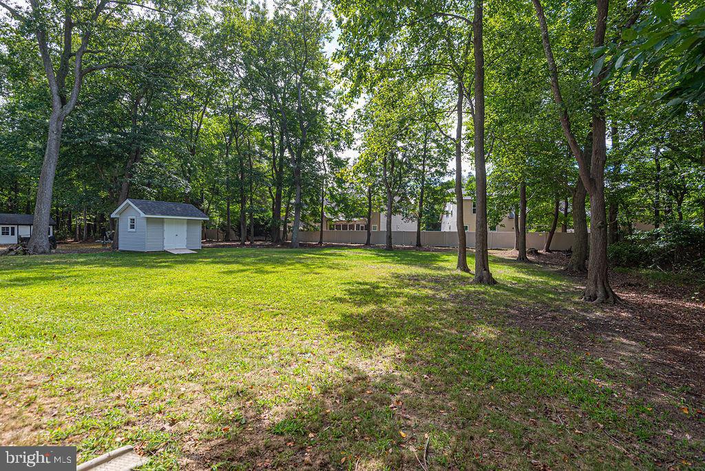 36244 Beaver Dam Road Frankford, DE 19945 - Photo 37 of 56 Tree lined