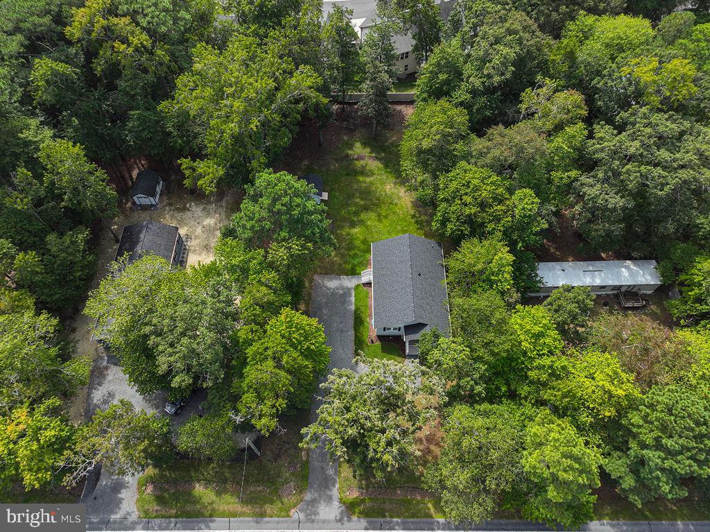 36244 Beaver Dam Road Frankford, DE 19945 - Photo 43 of 56