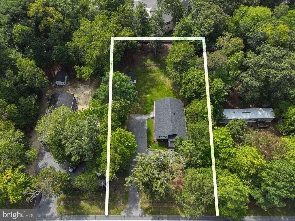 36244 Beaver Dam Road Frankford, DE 19945 - Photo 44 of 56 Backyard