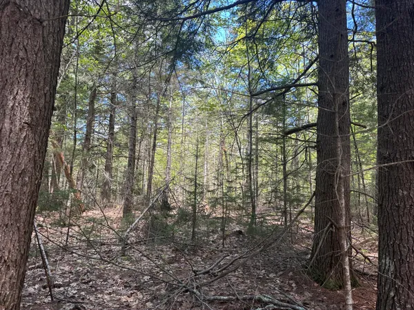 $59,900 | Lot#10 Shamrock Lane, Damariscotta, ME 04543