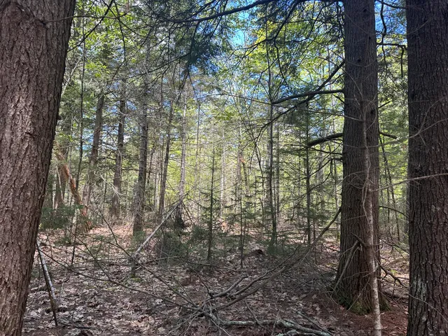 $59,900 | Lot#10 Shamrock Lane, Damariscotta, ME 04543
