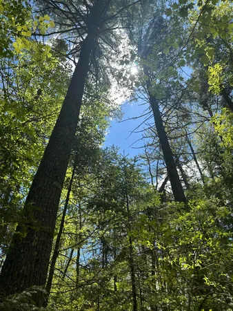 $59,900 | Lot#10 Shamrock Lane, Damariscotta, ME 04543