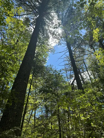 $59,900 | Lot#10 Shamrock Lane, Damariscotta, ME 04543