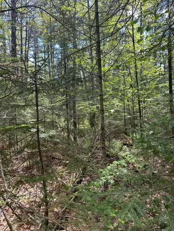 $59,900 | Lot#10 Shamrock Lane, Damariscotta, ME 04543