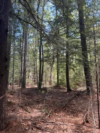 $59,900 | Lot#10 Shamrock Lane, Damariscotta, ME 04543