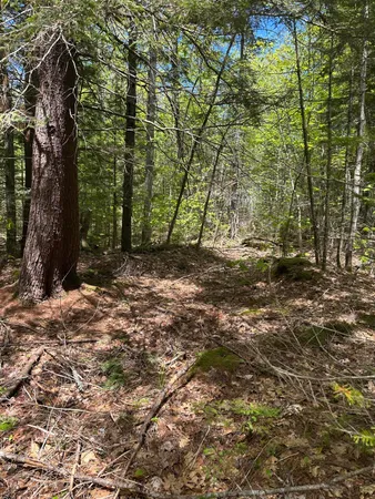 $59,900 | Lot#10 Shamrock Lane, Damariscotta, ME 04543