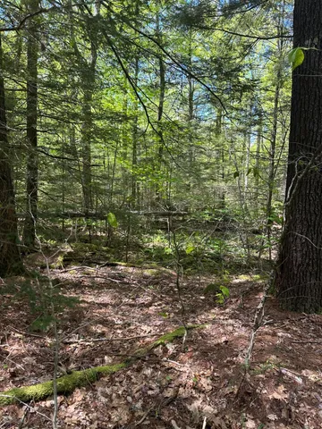 $59,900 | Lot#10 Shamrock Lane, Damariscotta, ME 04543