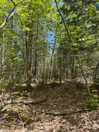 $59,900 | Lot#10 Shamrock Lane, Damariscotta, ME 04543