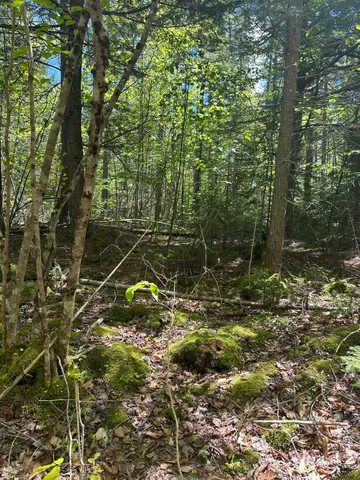 $59,900 | Lot#10 Shamrock Lane, Damariscotta, ME 04543