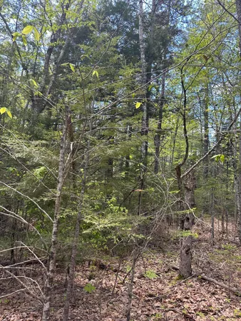 $59,900 | Lot#10 Shamrock Lane, Damariscotta, ME 04543