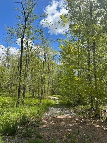 $59,900 | Lot#10 Shamrock Lane, Damariscotta, ME 04543