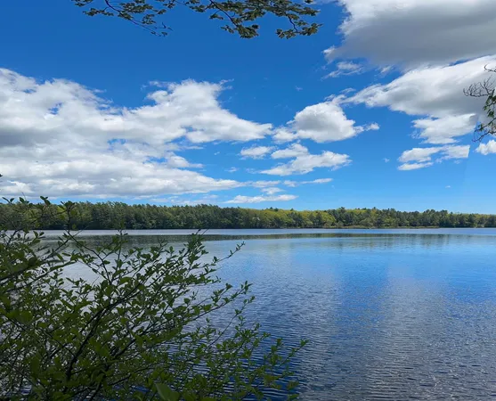 $59,900 | Lot#10 Shamrock Lane, Damariscotta, ME 04543