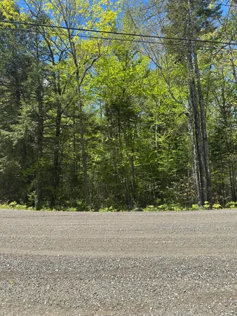 $59,900 | Lot#10 Shamrock Lane, Damariscotta, ME 04543