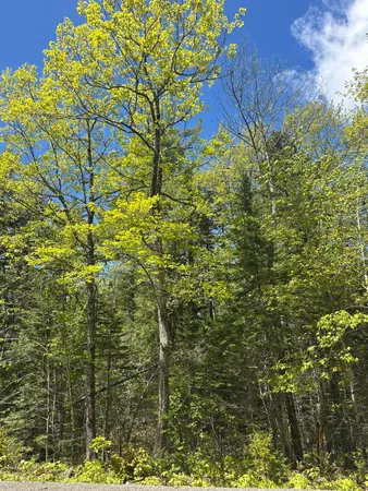 $59,900 | Lot#10 Shamrock Lane, Damariscotta, ME 04543