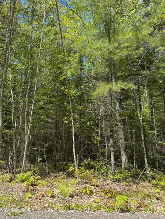 $59,900 | Lot#10 Shamrock Lane, Damariscotta, ME 04543