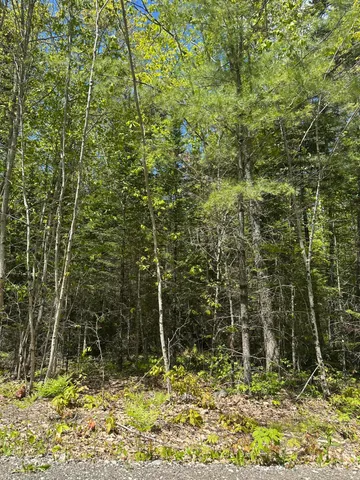 $59,900 | Lot#10 Shamrock Lane, Damariscotta, ME 04543
