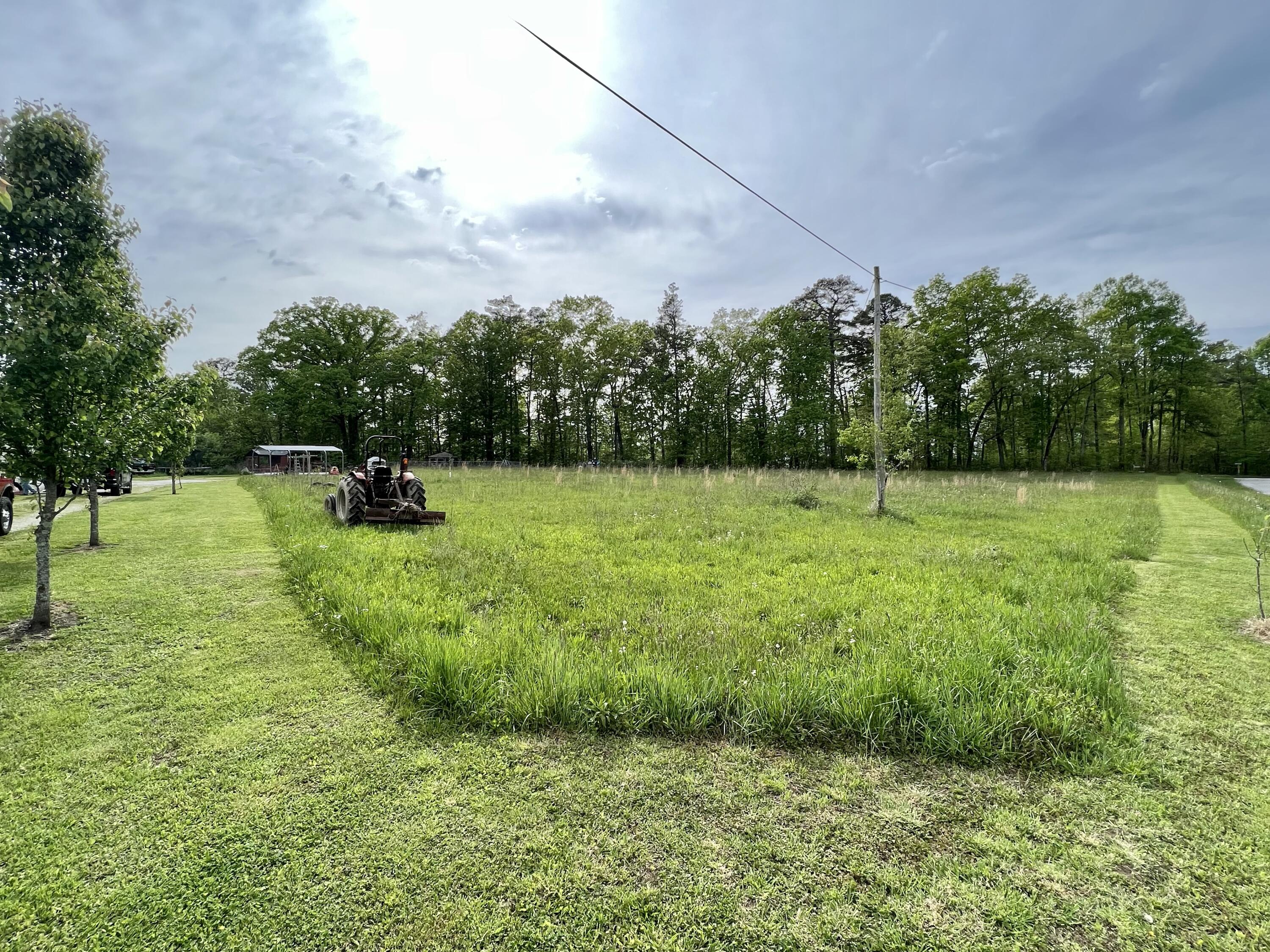1145 Old Whitney Road Somerset, KY 42501 - Photo 33 of 65 Field 1