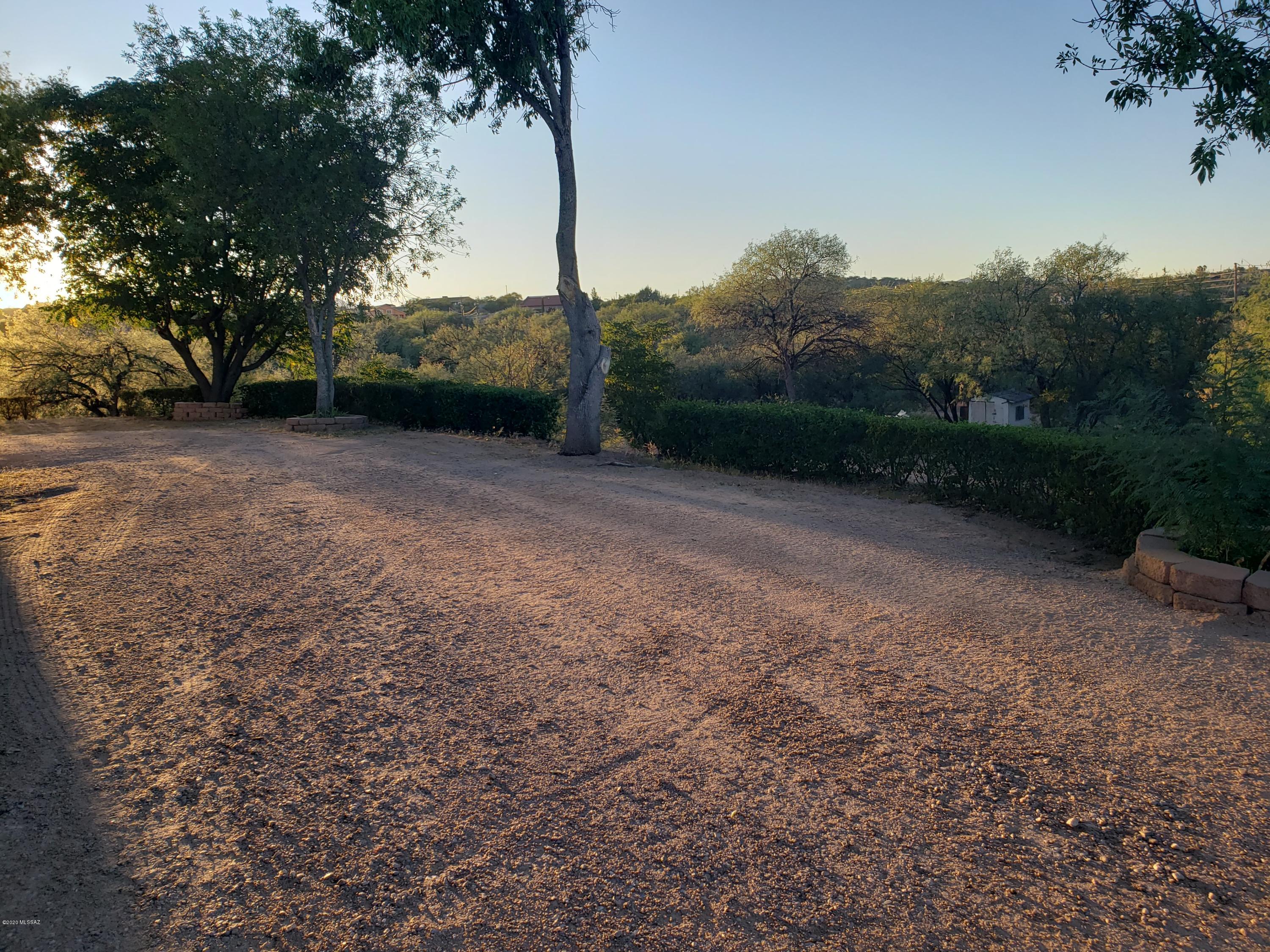 182 Pita Court Rio Rico, AZ 85648 - Photo 40 of 46 a view of a yard with trees