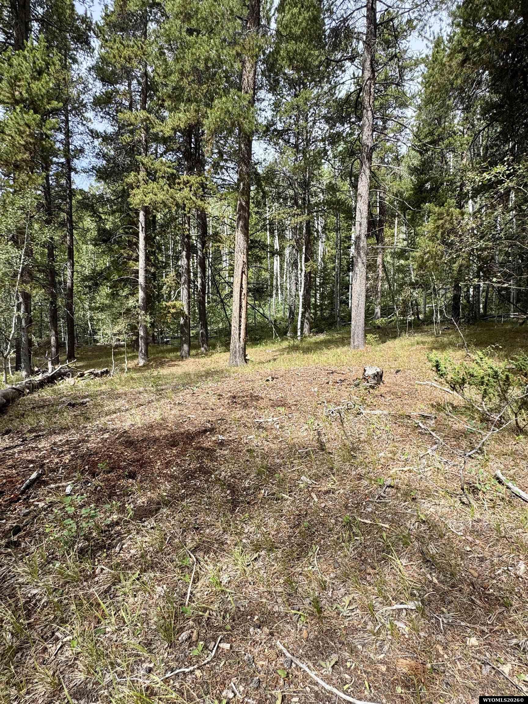 Lot 620 Starwallow Road, Unit 6 Casper, WY 82601 - Photo 9 of 13 Gallery Image 9