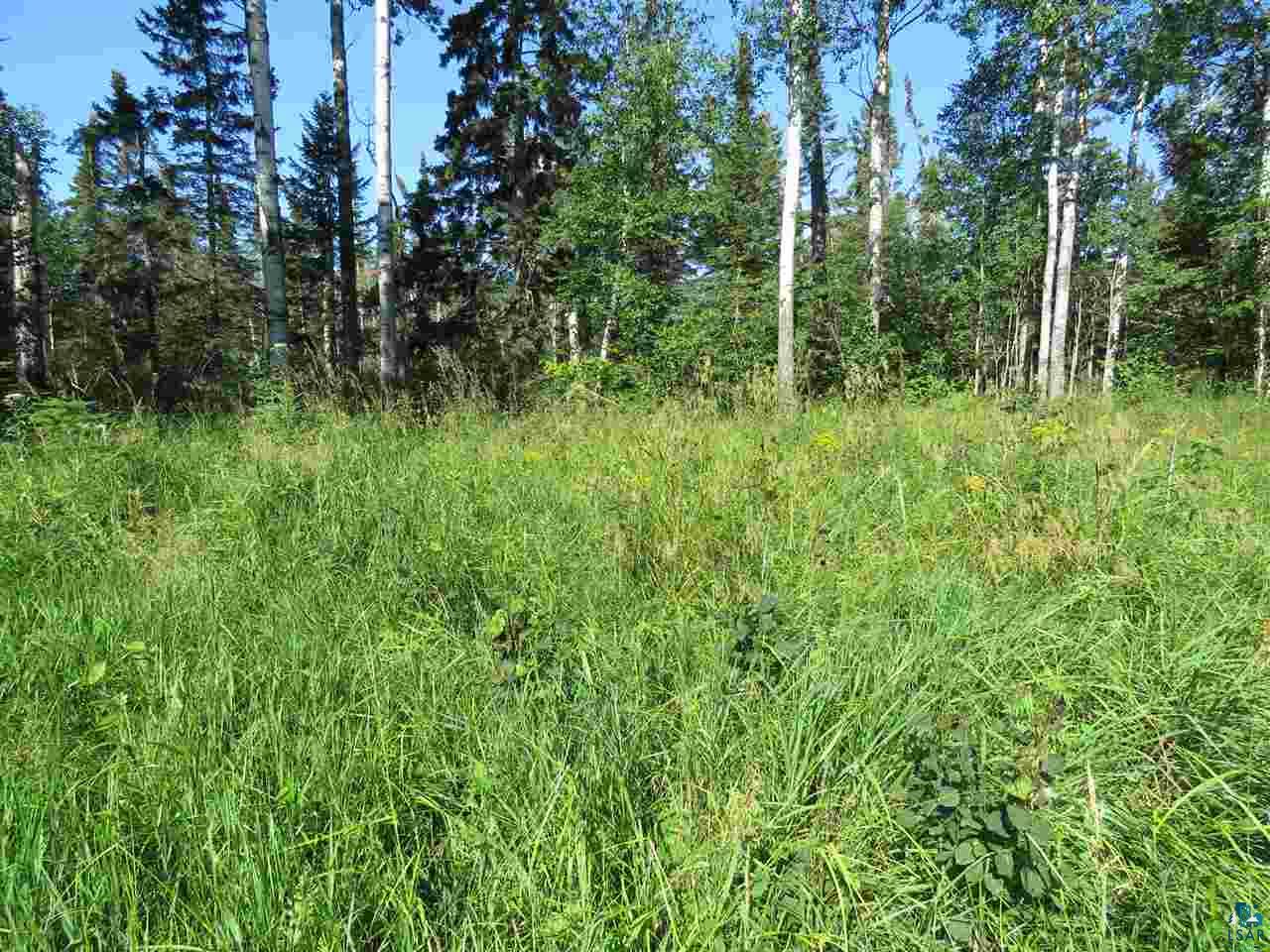 7-xx Mink Ranch Road Lutsen, MN 55612 - Photo 20 of 35