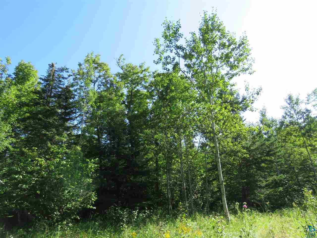 7-xx Mink Ranch Road Lutsen, MN 55612 - Photo 6 of 35