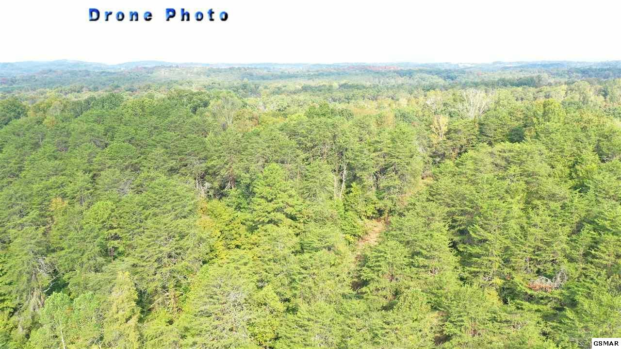 807 Smith School Road Kodak, TN 37764 - Photo 13 of 23 Gallery Image 13