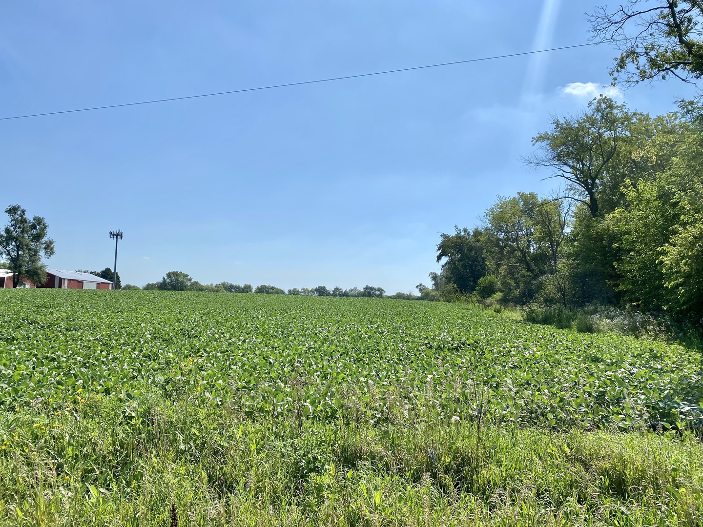 Lot 0 Munger Road Wayne, IL 60184 - Photo 11 of 11 a view of a field with plants and trees