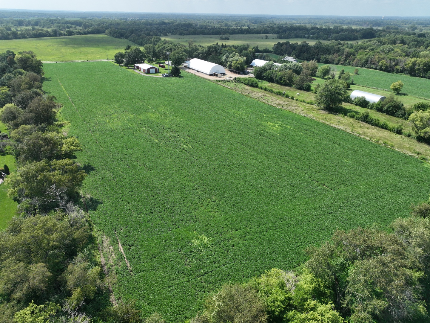 Lot 0 Munger Road Wayne, IL 60184 - Photo 4 of 11 an aerial view of green landscape with trees houses and lake view
