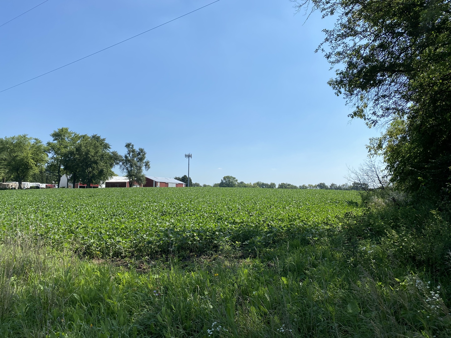 Lot 0 Munger Road Wayne, IL 60184 - Photo 10 of 11 a view of a grassy field with trees