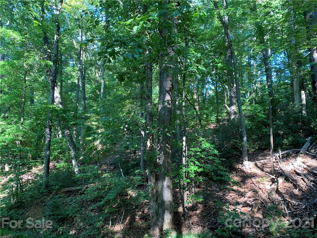 0 Wilderness Road Tryon, NC 28782 - Photo 11 of 11 a view of forest