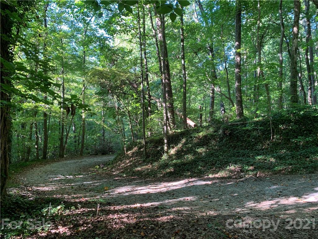 0 Wilderness Road Tryon, NC 28782 - Photo 3 of 11 a big yard with lots of green space and trees