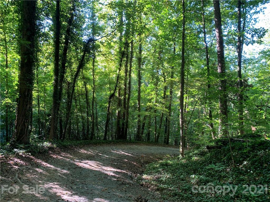 0 Wilderness Road Tryon, NC 28782 - Photo 4 of 11 a view of backyard with green space
