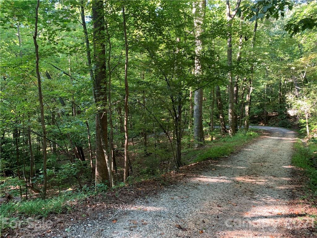 0 Wilderness Road Tryon, NC 28782 - Photo 5 of 11 a view of a forest filled with trees