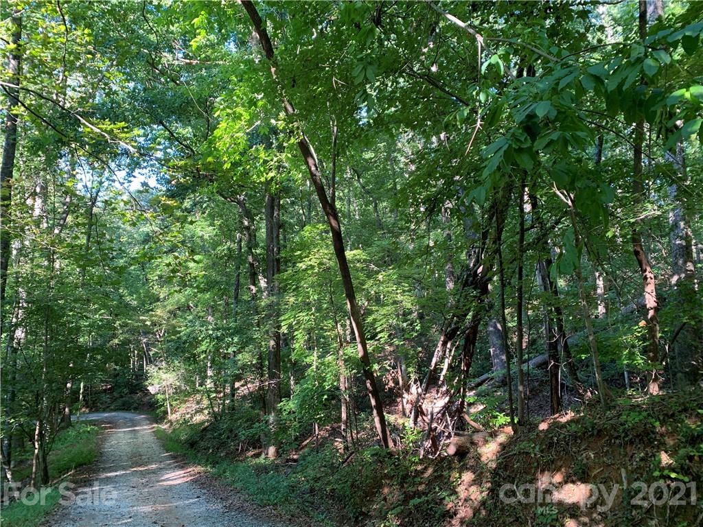 0 Wilderness Road Tryon, NC 28782 - Photo 6 of 11 a backyard of a house with lots of trees