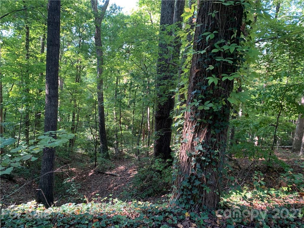 0 Wilderness Road Tryon, NC 28782 - Photo 8 of 11 a backyard of a house with lots of green space